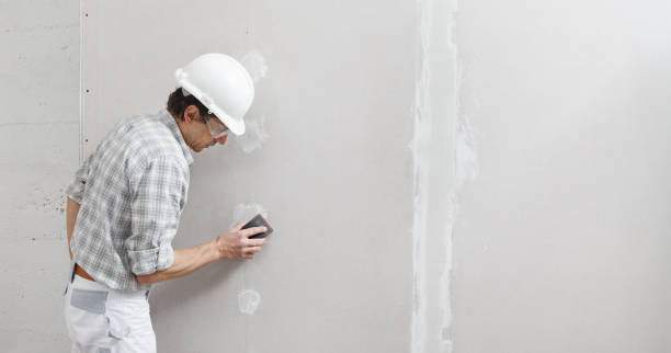 Professional Drywall & Painting Services in Port Orange, FL